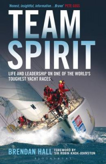 Cover picture of the book Team Spirit